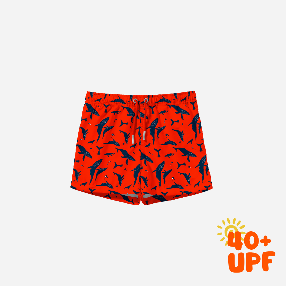 Whale Swim Trunks